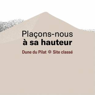 visiter la dune du Pilat sur le Bassin d'arcachon